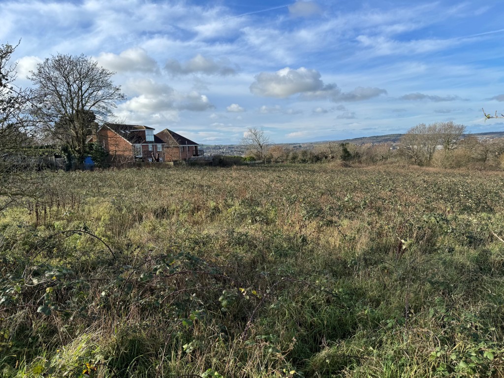 Lot: 41 - CLOSE TO 2.5 ACRES OF LAND WITH POTENTIAL - Looking back towards rear of Staplers Road